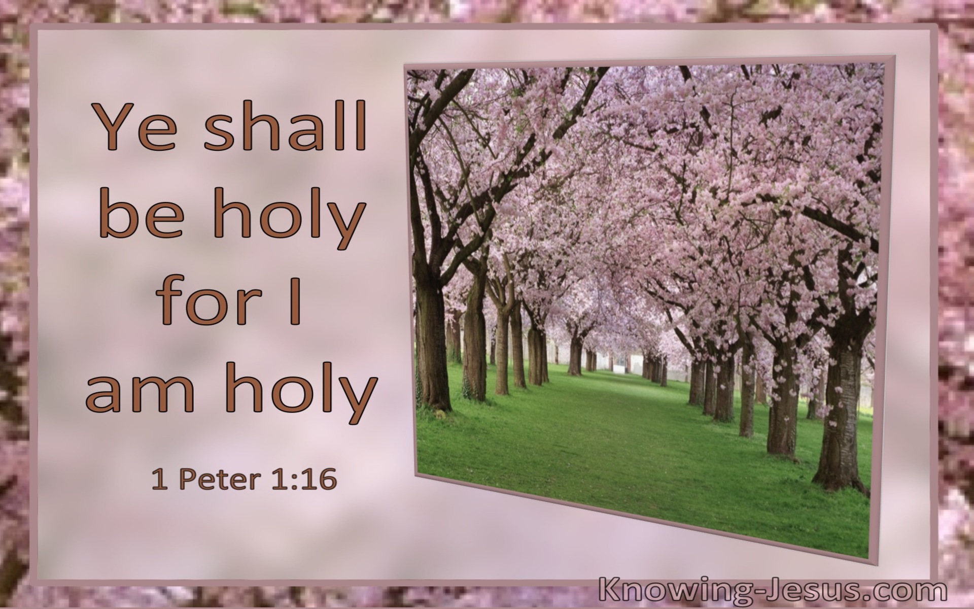 1 Peter 1:16 Ye Shall Be Holy For I Am Holy (utmost)09:01